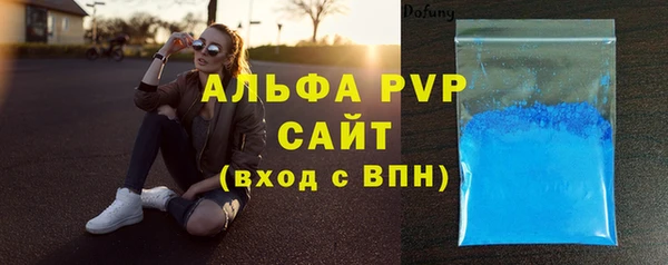 PSILOCYBIN Карпинск
