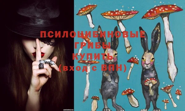 PSILOCYBIN Карпинск