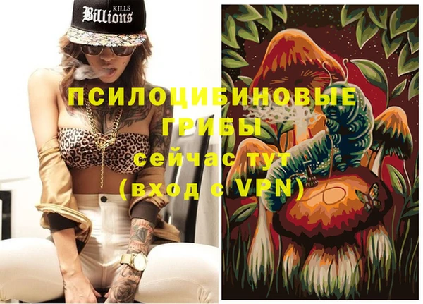 PSILOCYBIN Карпинск
