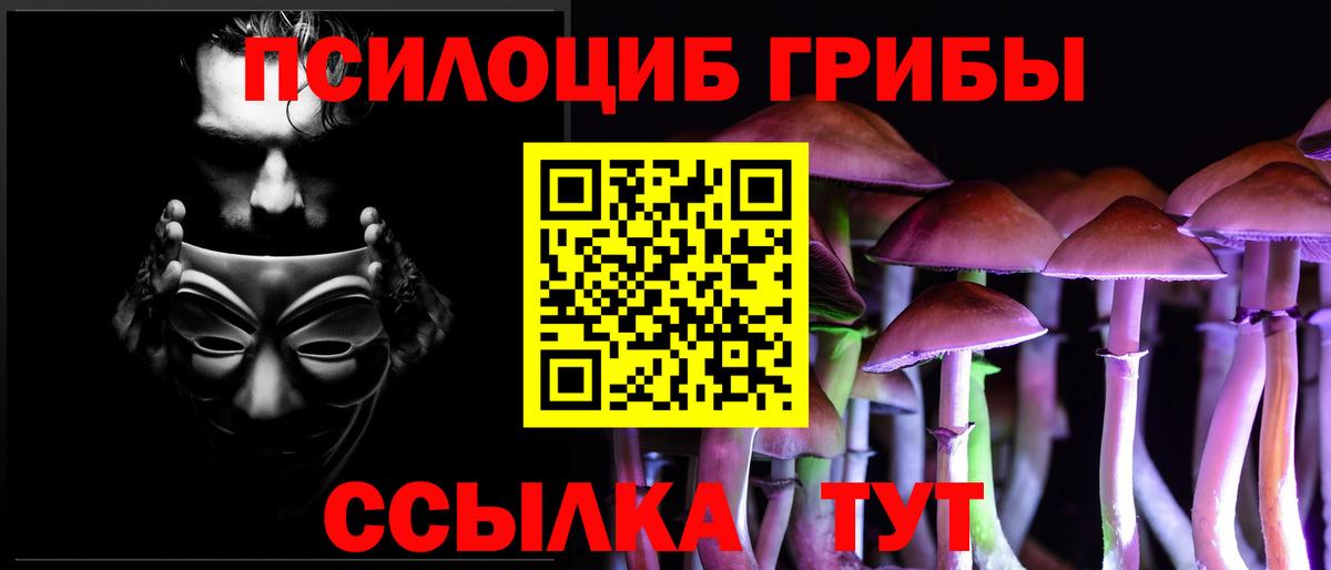 купить наркоту  Вход с VPN  Кирово-Чепецк  Галлюциногенные грибы Psilocybe 